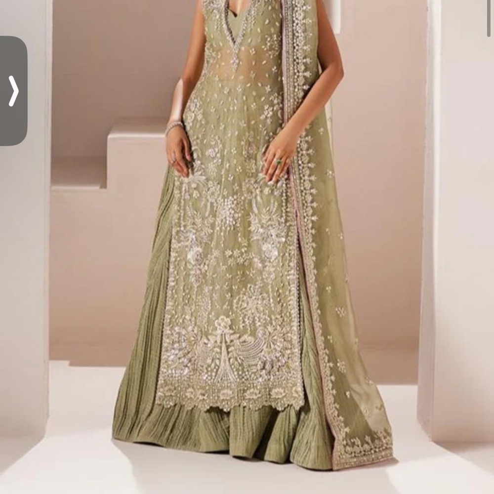 Elegant Olive Green Embroidered desi/pakistani/Indian dress
